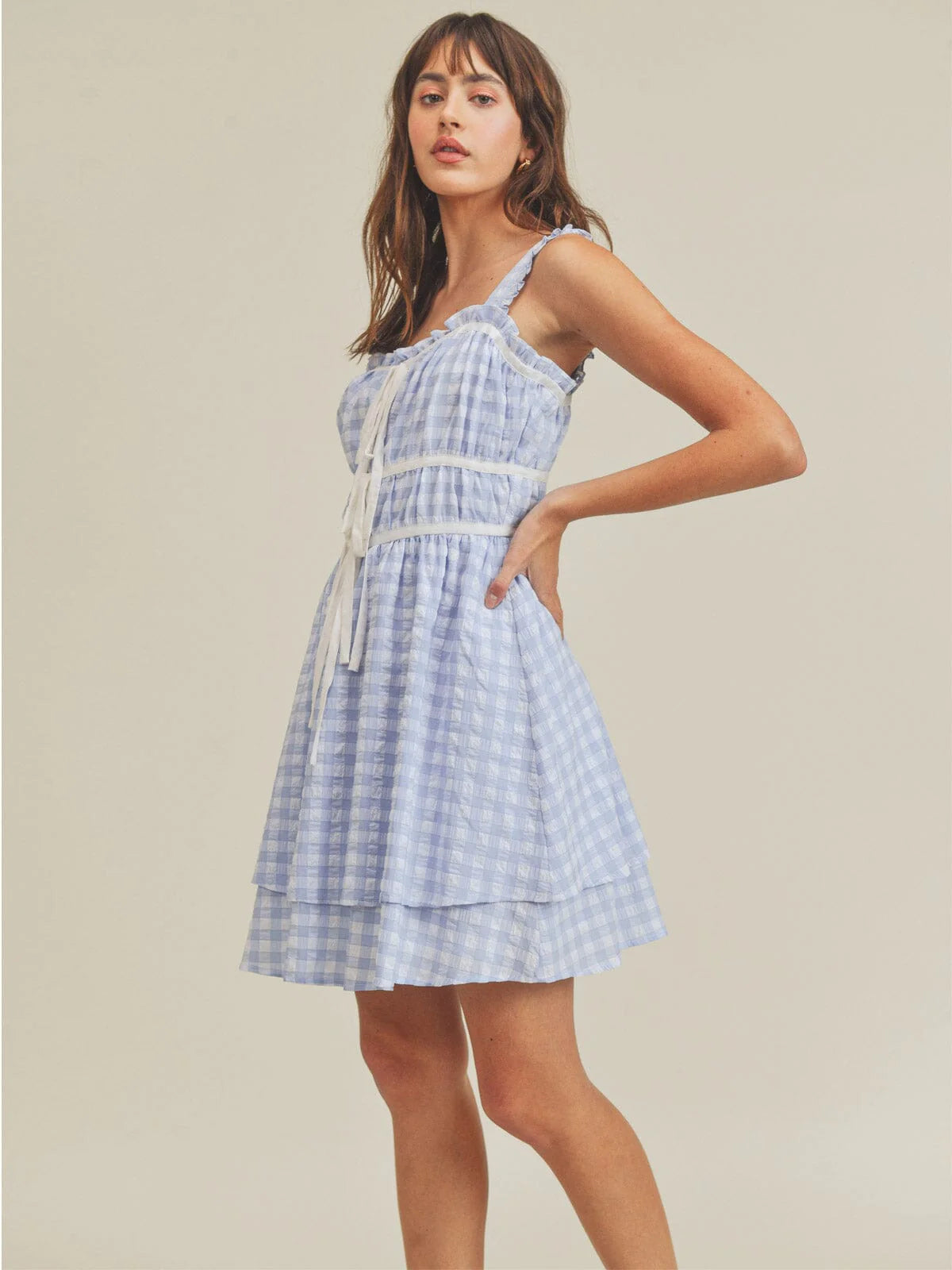 Blue Gingham Plaid Dress